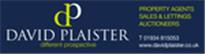 Logo of David Plaister Ltd